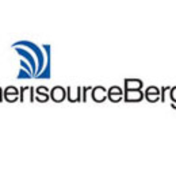 Logo with blue abstract design and text 'merisourceBerg'.